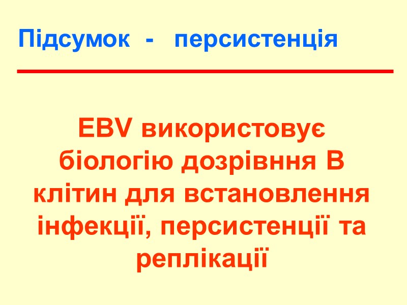 EBV використовує біологію дозрівння В клітин для встановлення інфекції, персистенції та реплікації Підсумок 